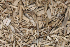 biomass boilers Idstone